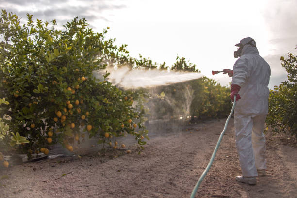 Best Exterminator Services  in Russell, KY